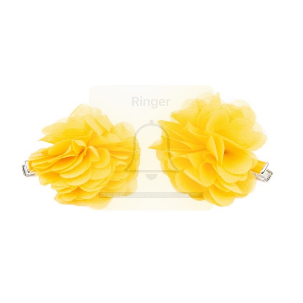 Girls hair clips